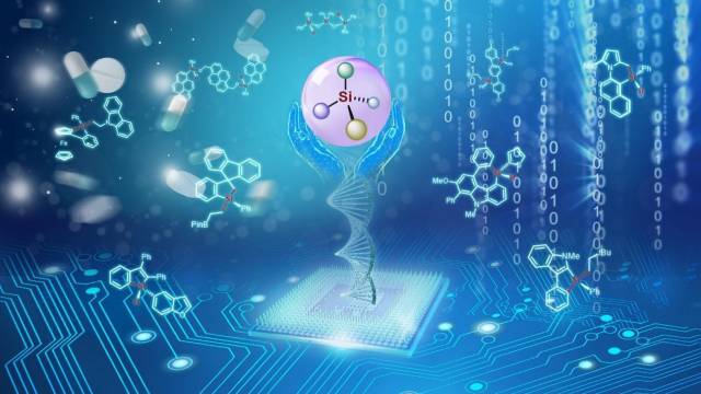 南科大何川課題組在手性有機硅化學領域取得多項研究成果